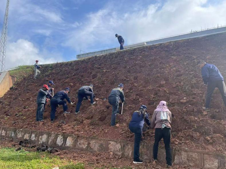 玉溪分公司黨支部開展“植常青藤,美化車間”主題黨日活動(dòng)